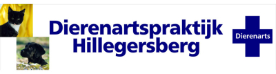 dapberg_nl